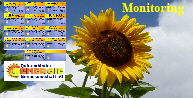 Monitoring